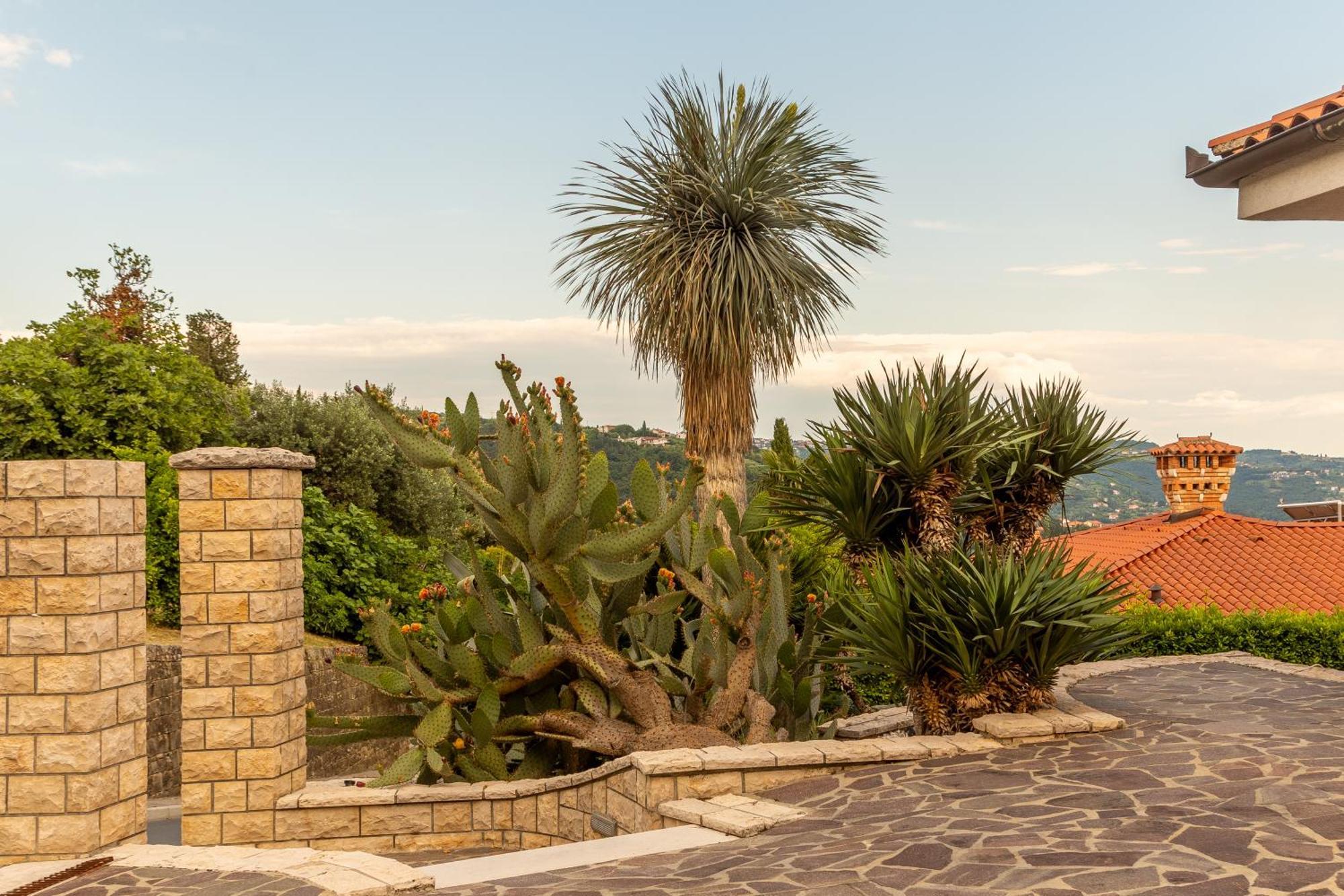 Villa Bellavista I ปอร์โตรอซ ภายนอก รูปภาพ